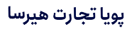 هلدینگ هیرسا